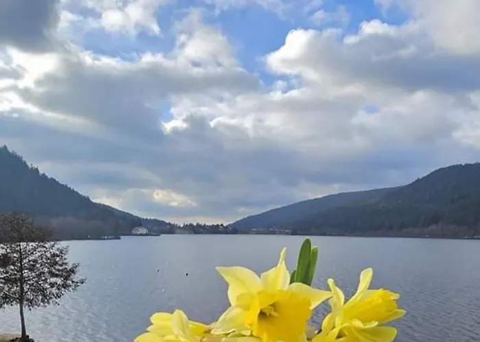 Les Yeux Du Lac
