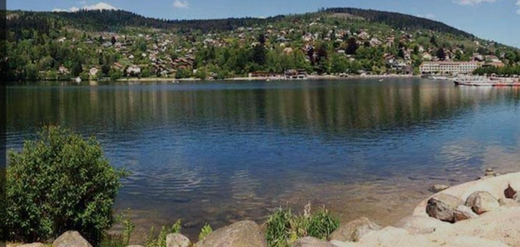 Les Yeux Du Gerardmer